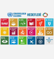 “Project for the Analysis of Turkey’s Current Situation Within the Scope of Sustainable Development Goals”