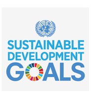 “Project for the Analysis of Turkey’s Current Situation within the Scope of Sustainable Development Goals”