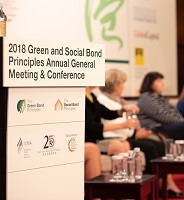 Escarus Was Represented by Ms. Melis Bitlis at The Green Bonds Principles’ General Meeting and Working Group Meetings